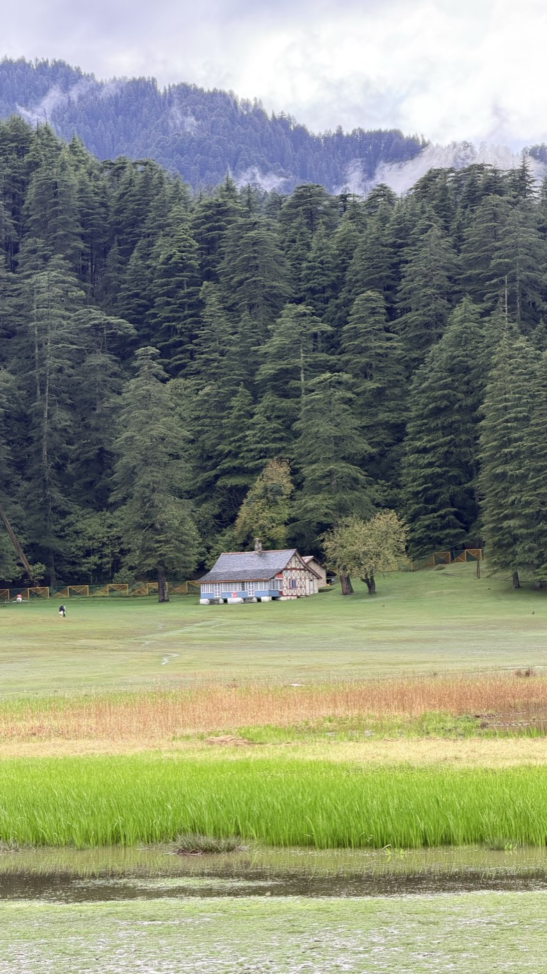 Groen landschap na de moesson